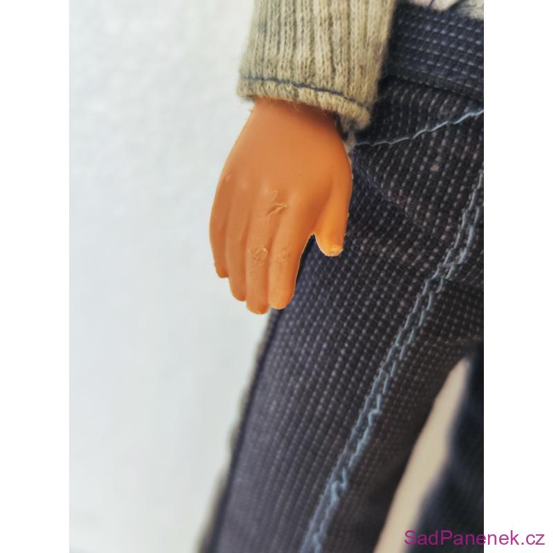 Fashion Fever Ken