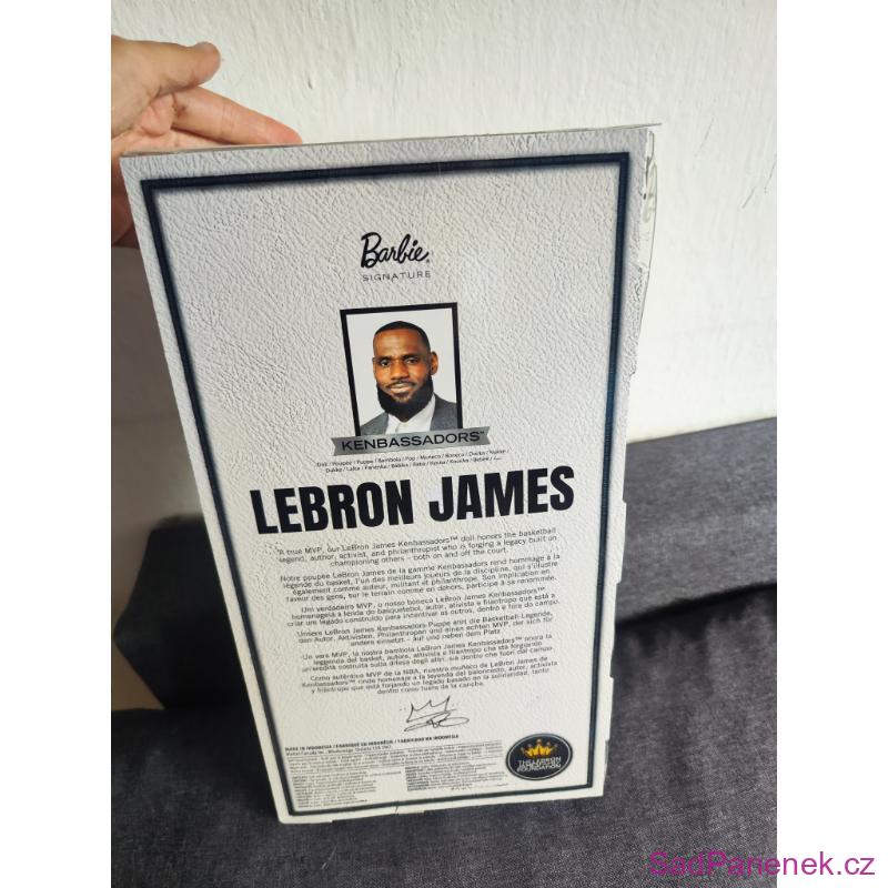 Sběratelský Ken Lebron James