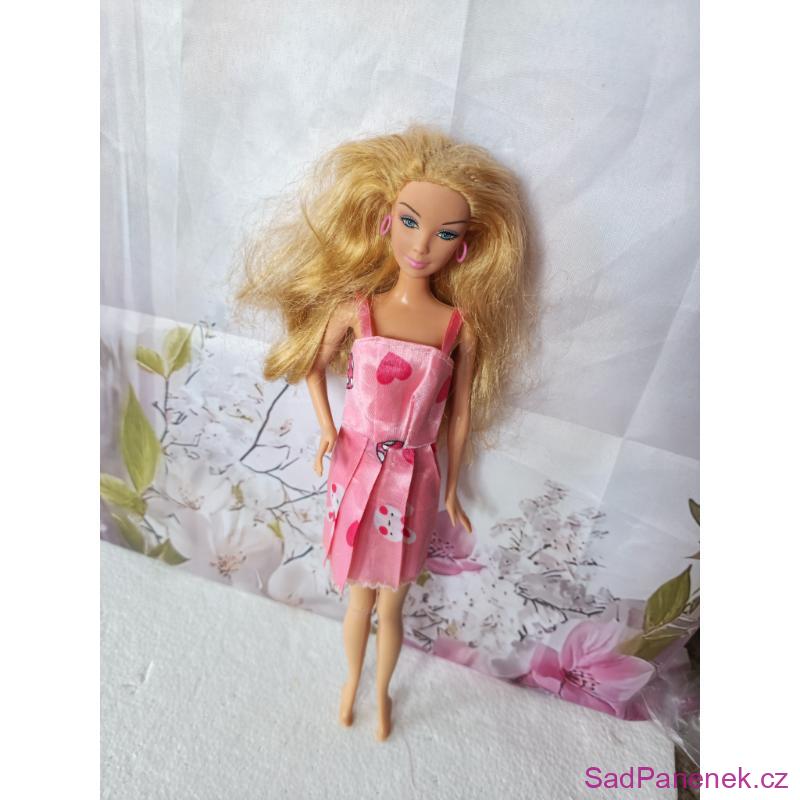 Barbie Diaries