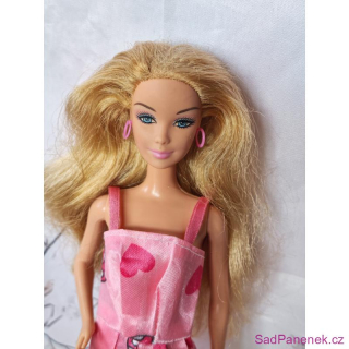 Barbie Diaries