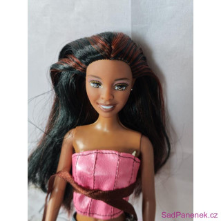 Panenka Barbie FF Desiree